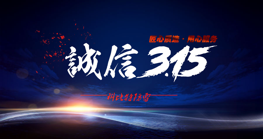 匠心质造、用心服务，半岛网页版防雷天天315